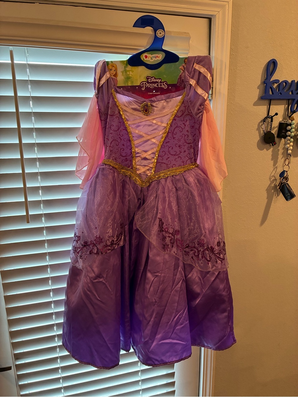 Disney Purple and Pink Rapunzel-Inspired Princess Dress